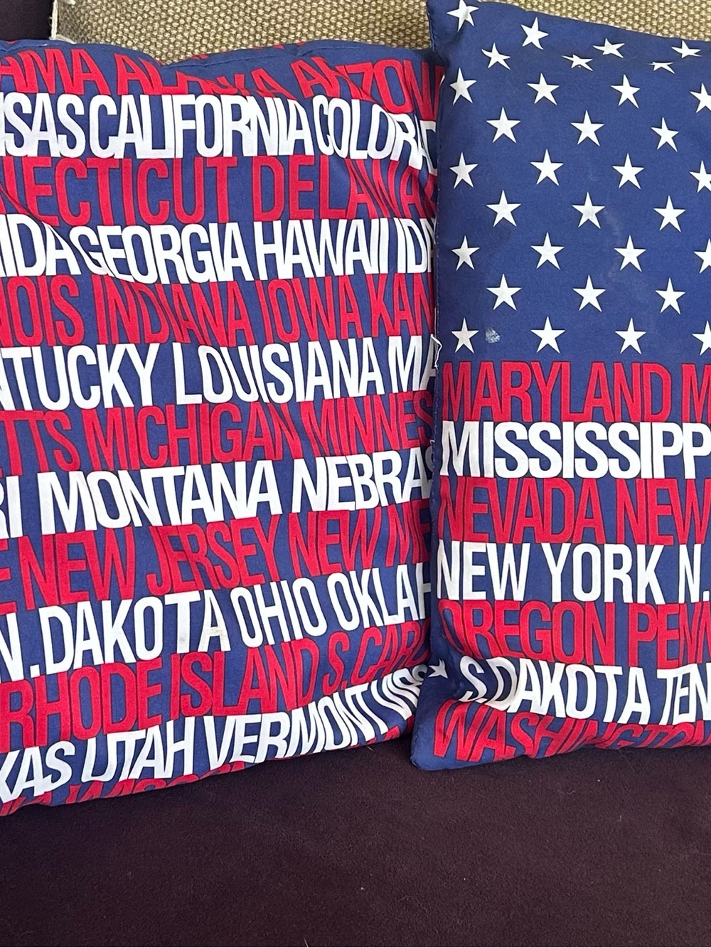 Usa Flag State Names Pillows x2